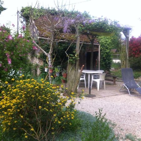 Les 3 Roses Bed and Breakfast Villeneuve-sur-Yonne Buitenkant foto